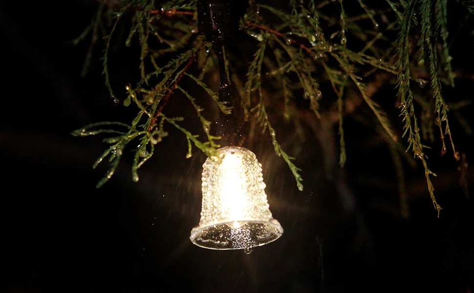 solar string light