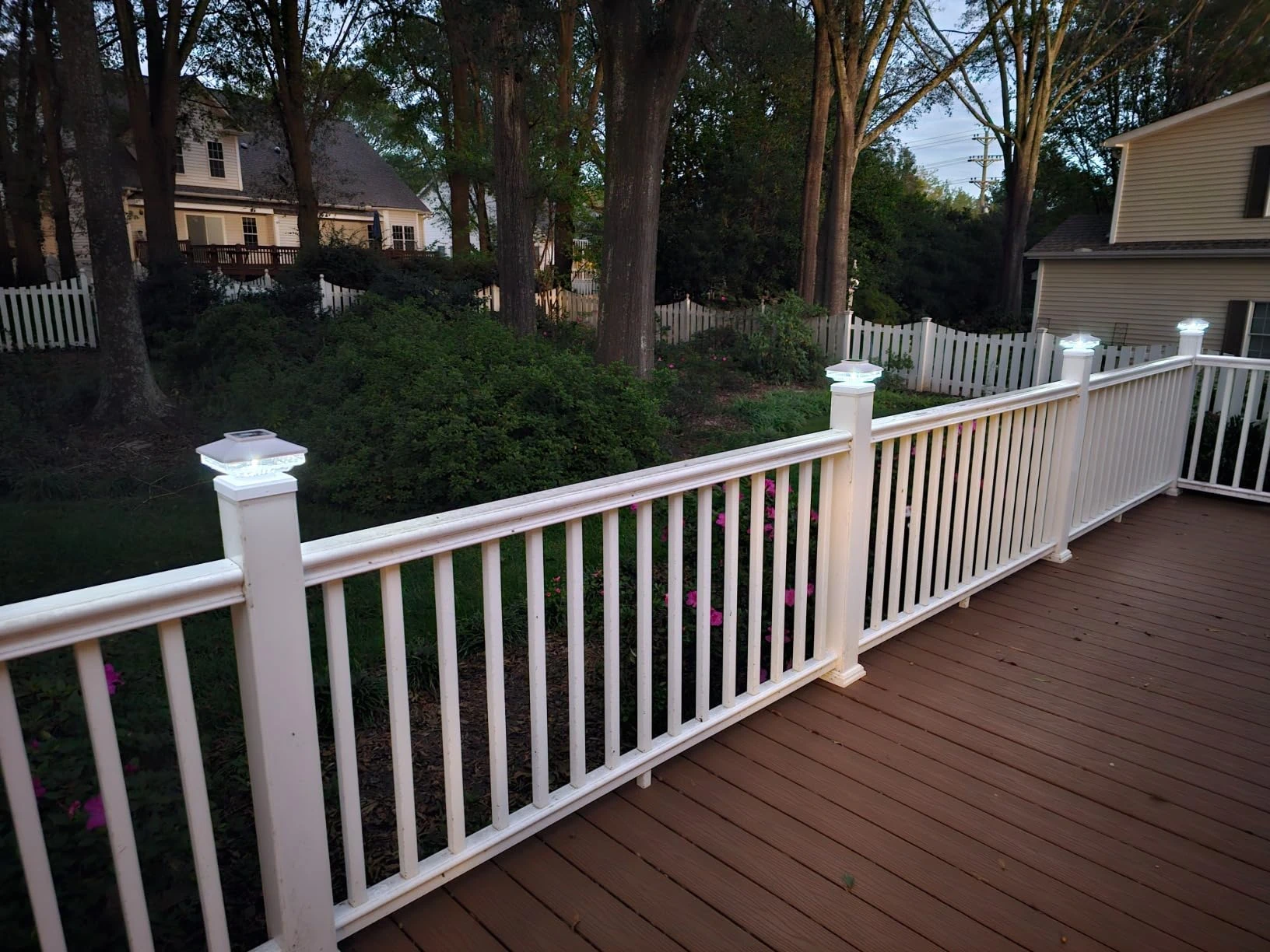 Lighting Up Pet Zones: Solar Solutions for Safe Nighttime Play