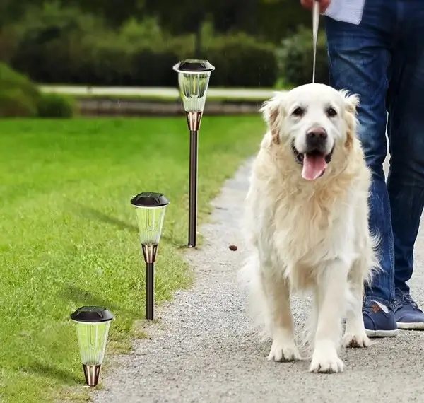 Safe and Fun Backyard Lighting for Kids and Pets